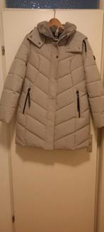 Heel lichtgrijze dames winterjas - Maat 42, Kleding | Dames, Jassen | Zomer, Maat 42/44 (L), Nieuw, Ophalen of Verzenden, Onbekend