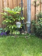 plantenrek rond brocante, Ophalen