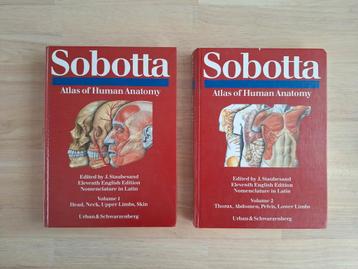 Atlas of the Human Anatomy. Sobotta Volume 1 en 2 beschikbaar voor biedingen