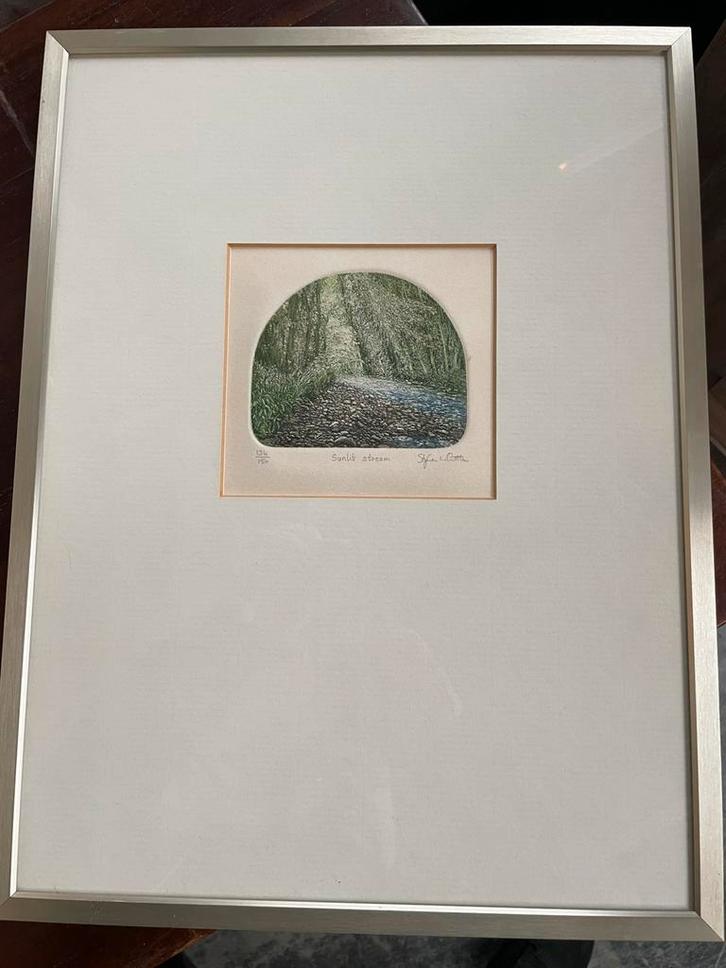 Stephen Whittle - Sunlit Stream - Genummerde Print, Antiek en Kunst, Kunst | Schilderijen | Abstract, Ophalen of Verzenden