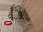 Glazen hamster / cavia / fred Kooi met heel veel extra s, Kooi, Zo goed als nieuw, Hamster, 75 tot 110 cm
