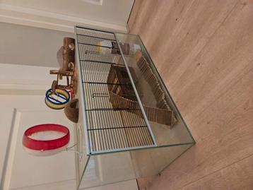 Glazen hamster / cavia / fred Kooi met heel veel extra s beschikbaar voor biedingen