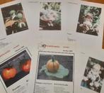Viltpatronen 'herfst', 6 patronen met werkbeschrijvingen, Ophalen of Verzenden, Zo goed als nieuw, Boek of Patroon