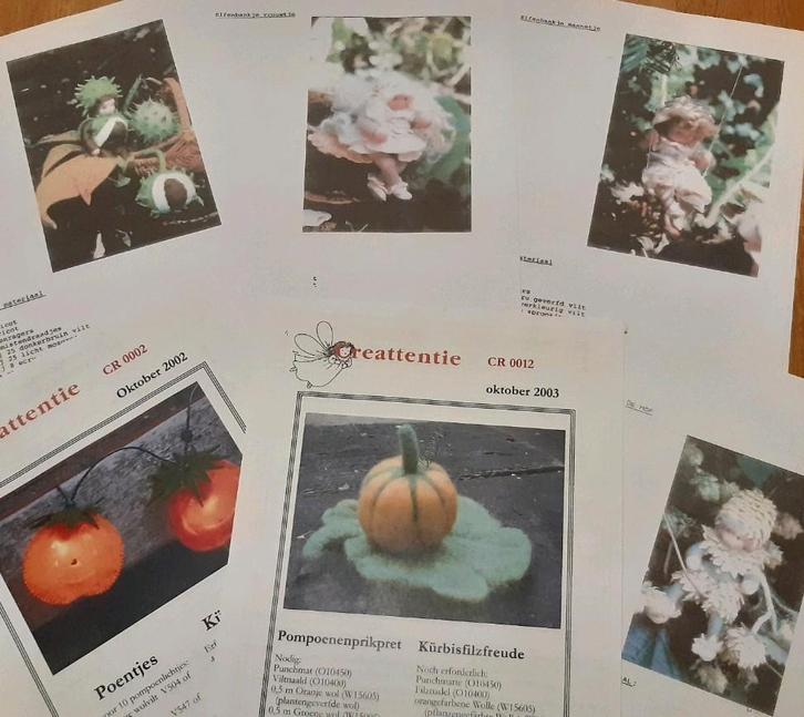 Viltpatronen 'herfst', 6 patronen met werkbeschrijvingen, Hobby en Vrije tijd, Vilt, Zo goed als nieuw, Boek of Patroon, Ophalen of Verzenden