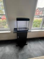 Klein Superfish aquarium; kan bezorgen evt., Ophalen, Gebruikt, Leeg aquarium