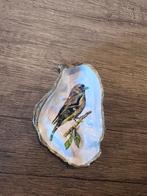 Oesterschelpje met Vink, Ophalen of Verzenden, Schelp(en)