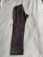 Broek dames Merk MAC Jeans Future Maat 40 In nette staat, Maat 38/40 (M), Overige kleuren, Ophalen of Verzenden, Zo goed als nieuw