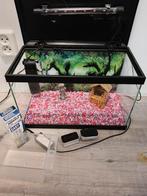 Leuk klein aquarium, 40 x 25 x 20 met pomp en toebehoren, Dieren en Toebehoren, Ophalen, Zo goed als nieuw, Leeg aquarium
