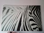 Zebra canvas, Ophalen