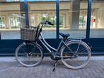 Cortina U4 omafiets, Ophalen, Versnellingen, Zo goed als nieuw, Cortina