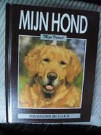 Mijn hond mijn vriend verzorging en EHBO Stephe Bruin, Ophalen of Verzenden, Zo goed als nieuw, Honden
