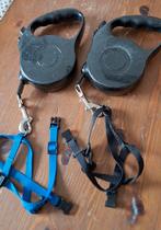 Prachtige 5 meter riem + tuigjes. Mt S, Dieren en Toebehoren, Ophalen of Verzenden, Zo goed als nieuw