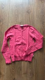 Vest Rolfi, Ophalen of Verzenden, Nieuw, Meisje, Trui of Vest