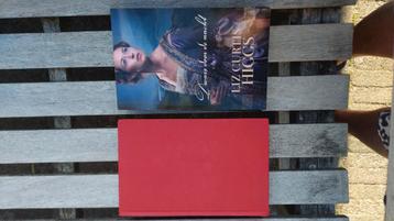2 christelijke romans o a Lyn Austin  beschikbaar voor biedingen