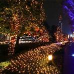 Kerstverlichting. 128-LED Netverlichting 3x3m. Warm/Wit, Diversen, Kerst, Ophalen of Verzenden, Nieuw