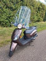 te koop sym fiddle uit 2018, Ophalen of Verzenden, Gebruikt, Fiddle