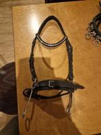 Hackmore hoofdstel maat pony, Dieren en Toebehoren, Ophalen of Verzenden, Zo goed als nieuw, Overige soorten