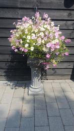 Polyester zuil/pilaar met vaas/bloembak, Ophalen, Nieuw, Nvt, Nvt