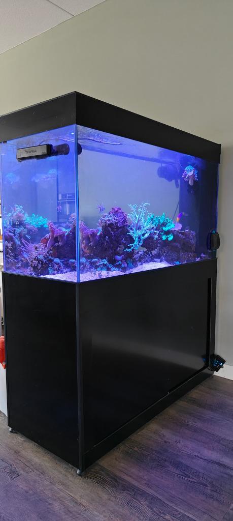 Zeeaquarium doorkijk (peninsula) 1.20 meter, Dieren en Toebehoren, Vissen | Aquaria en Toebehoren, Gebruikt, Gevuld zeewateraquarium