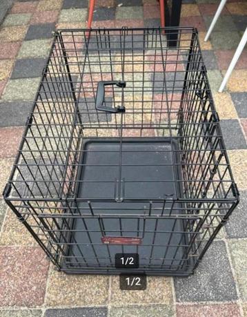 Honden bench beschikbaar voor biedingen