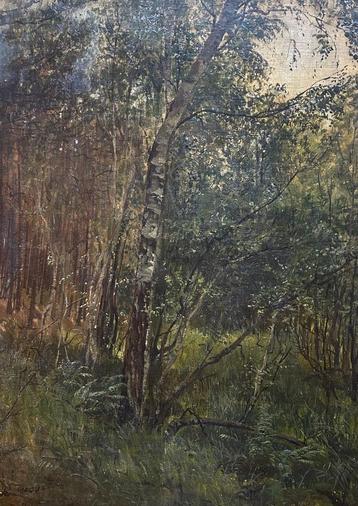 Oud bosgezicht uit 1881 (Jules Rousset?) beschikbaar voor biedingen