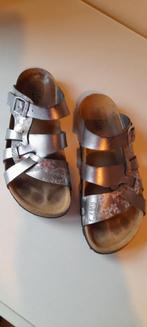 Bio Life Slippers Zilver Bloemenprint Maat 41, Kleding | Dames, Slippers, Bio Life, Ophalen of Verzenden, Grijs