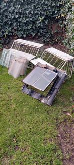 Te koop duivensport artiekelen, Dieren en Toebehoren, Mannelijk