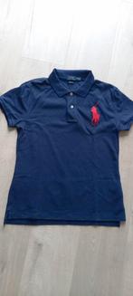 RALPH LAUREN polo maat M, Maat 38/40 (M), Nieuw, Korte mouw, Ralph Lauren