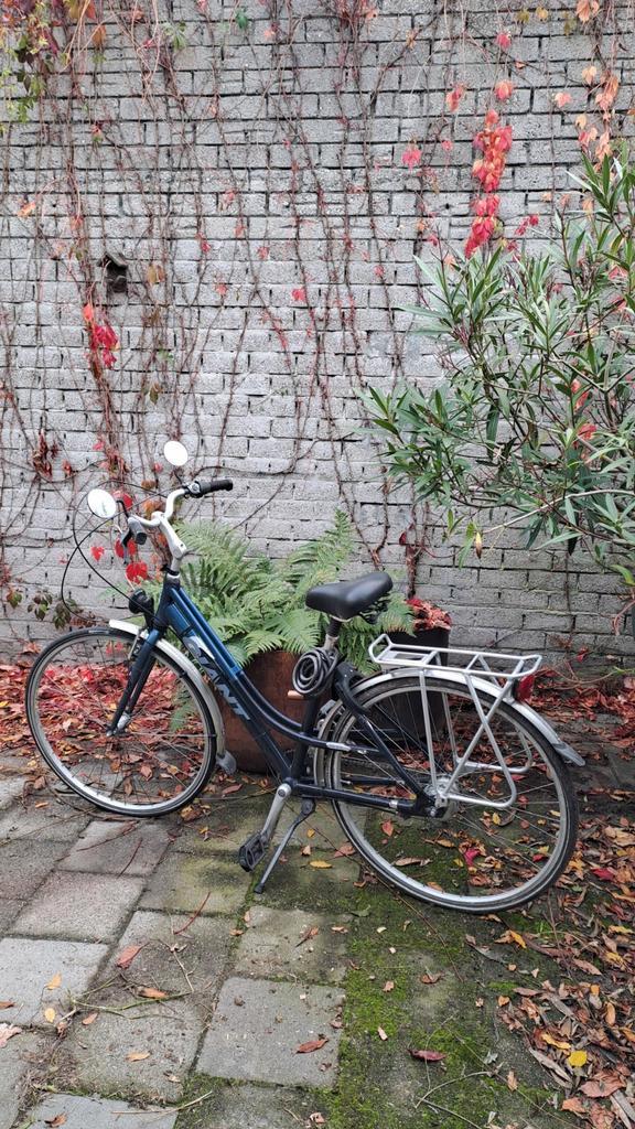 Giant Damesfiets - Opknapper, Fietsen en Brommers, Fietsen | Dames | Damesfietsen, Ophalen