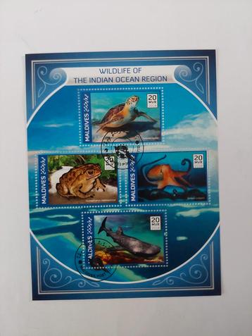 291 Motief, Dier, Dieren, Schildpad, Schildpadden beschikbaar voor biedingen