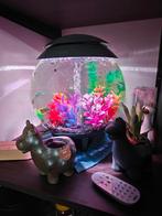 BiOrb grijs 30, Ophalen, Gebruikt, Leeg aquarium