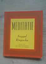 Mini boek Meditatie - Sogyal Rinpoche Boeddhisme, Boeken, Sogyal Rinpoche, Overige typen, Ophalen of Verzenden, Zo goed als nieuw
