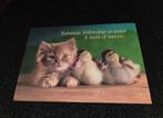 Kitten en kleine eendjes, Verzenden, 1980 tot heden, Ongelopen, Hond of Kat