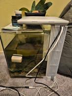 Superfish aquarium Qubiq 30 pro, Dieren en Toebehoren, Vissen | Aquaria en Toebehoren, Ophalen, Leeg aquarium