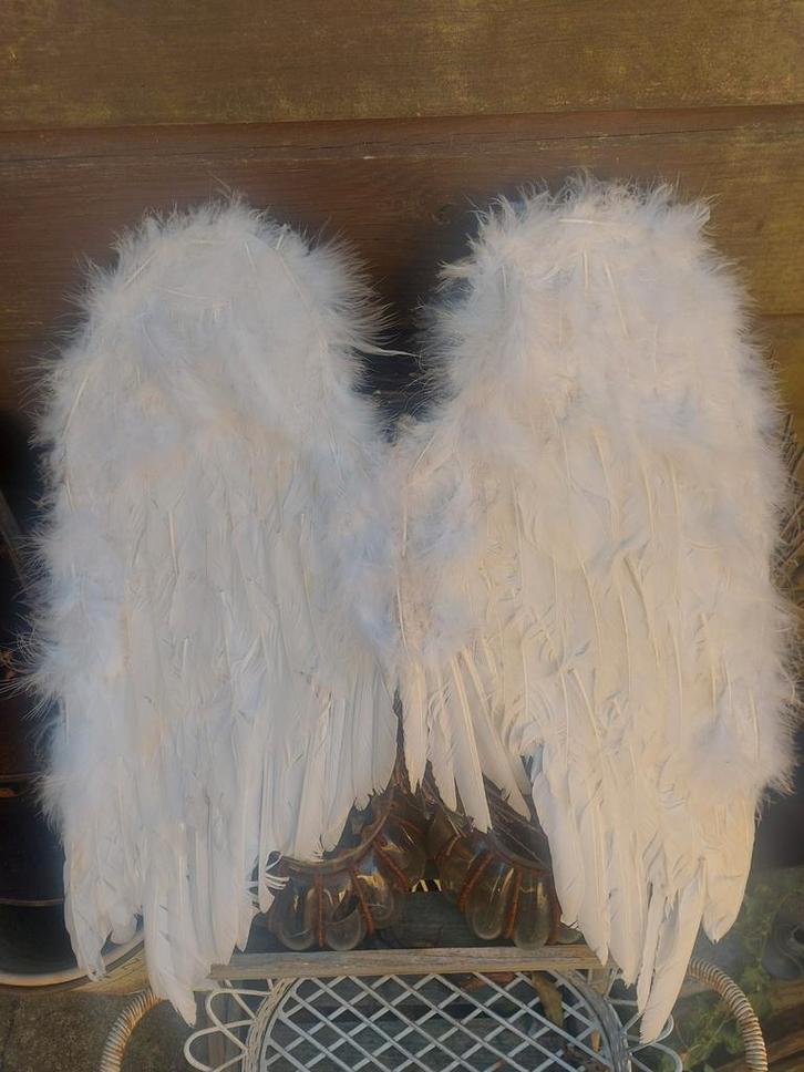 Prachtige oude Brocante veren vleugels, Antiek en Kunst, Curiosa en Brocante, Ophalen of Verzenden