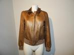 Dolce & Gabbana leren jas goud bronze look hardware merk I40
