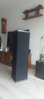 Impulse 74 transmissionline luidsprekers ( Gereviseerd), Zo goed als nieuw, 120 watt of meer, Front, Rear of Stereo speakers, Ophalen