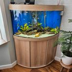 Jewel Trigion 190 hoekaquarium voor zoetwatervissen te koop, Dieren en Toebehoren, Ophalen of Verzenden, Zo goed als nieuw