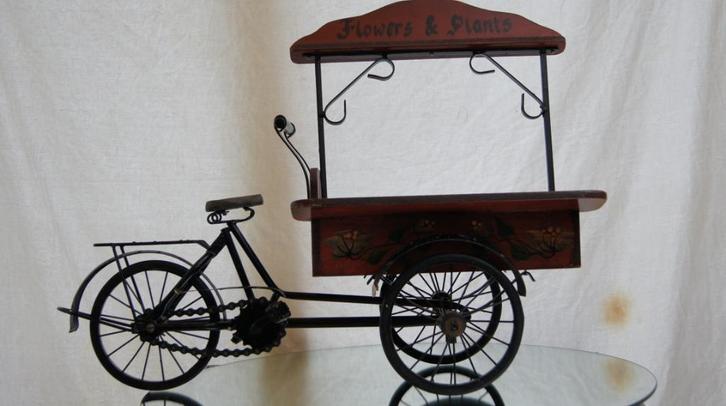 Bakfiets  ( Bloemen en Planten, Antiek en Kunst, Kunst | Beelden en Houtsnijwerken, Ophalen of Verzenden