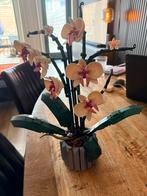 Orchidee van lego, Kinderen en Baby's, Speelgoed | Duplo en Lego, Ophalen, Zo goed als nieuw