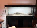 Groot 150 cm aquarium met meubel en deksel, Ophalen of Verzenden, Zo goed als nieuw, Leeg aquarium