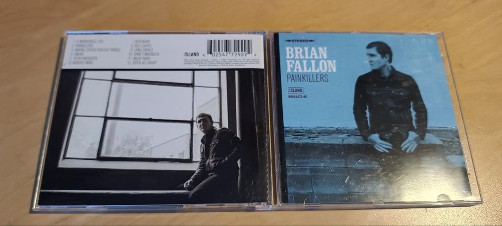Brian Fallon - Painkillers, Ophalen of Verzenden, Zo goed als nieuw, Poprock