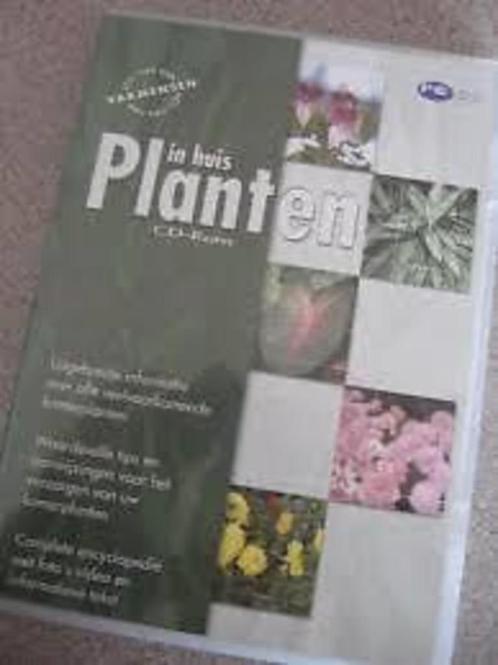 Planten binnen buiten cd rom, Huis en Inrichting, Kamerplanten, Minder dan 100 cm, Halfschaduw, Ophalen of Verzenden