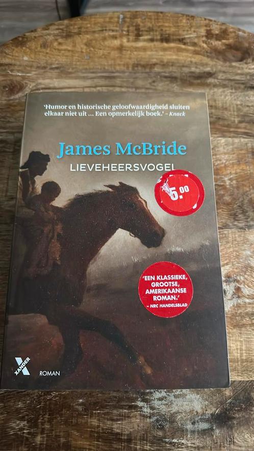 James McBride - Lieveheersvogel, Boeken, Literatuur, Zo goed als nieuw, Nederland, Verzenden