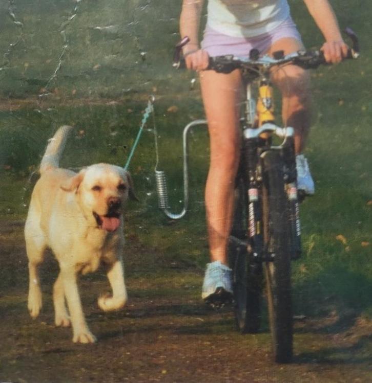 Springer / Bike-Trainer / Fietsen met de hond(nieuw in doos), Dieren en Toebehoren, Honden-accessoires, Nieuw, Ophalen of Verzenden