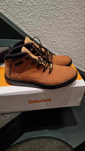 Timberland schoenen  beschikbaar voor biedingen