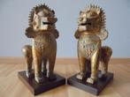 Grote Antieke leeuwen Foo dogs brons verguld Azie H = 35 cm, Antiek en Kunst, Kunst | Beelden en Houtsnijwerken, Ophalen