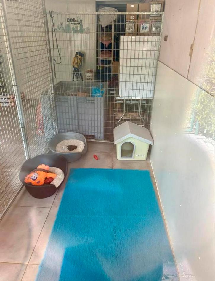 Hondenpension, katten pension kleinschalige opvang aan huis, Diensten en Vakmensen, Dieren | Honden | Verzorging, Oppas en Les