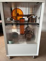 Hamster house, Dieren en Toebehoren, Kooi, Zo goed als nieuw, Hamster, 75 tot 110 cm