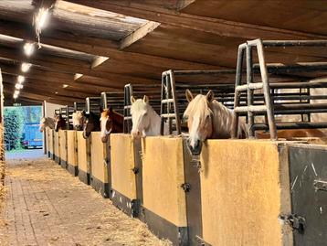 Vakantiebaantje stalhulp beschikbaar voor biedingen